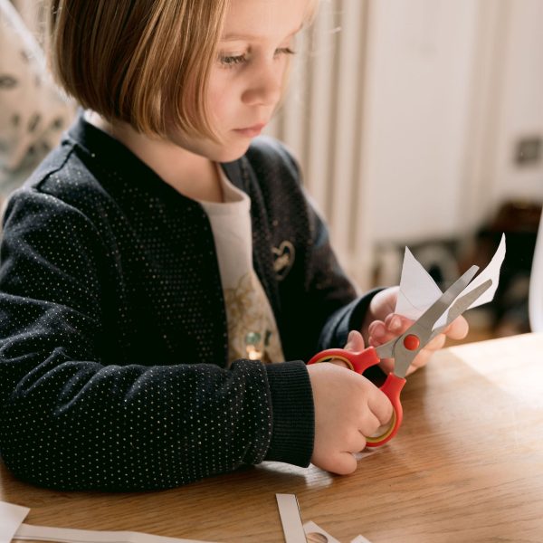 Montessori découpage